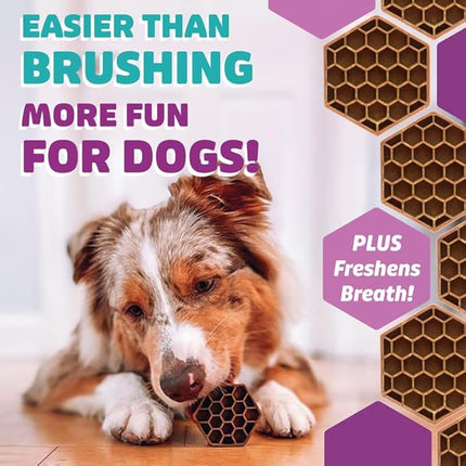 Longevity15 C15:0 Dog Health Supplement (30-Day Supply) & Yummy Combs Dog Dental Treats (8oz Bag) for Large Dogs – C15:0 Fatty Acid for Daily Wellness, Food Topper – VOHC Approved Oral Care Treat