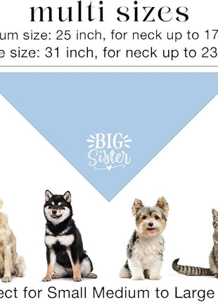 Big Sister Dog Bandanas, Light Blue Pet Scarf Accessories, Pet Triangle Scarf, Dog Bandana for Large Dogs, Baby Announcement Dogs Bandana (L)