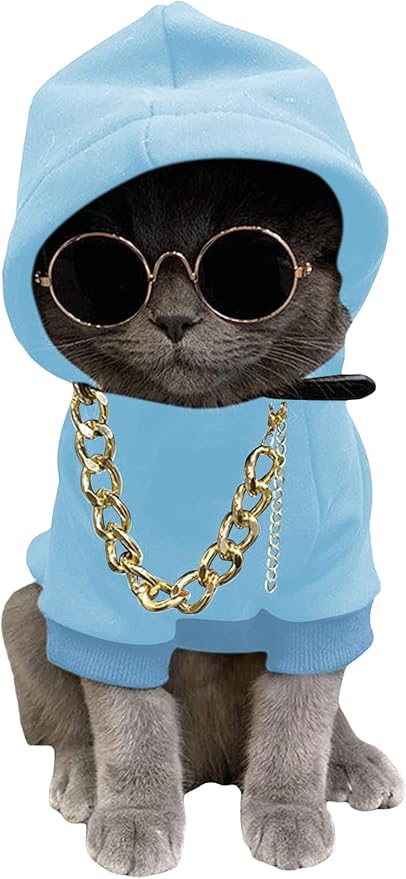 QWINEE 3Pcs Dog Hoodie Cat Apparel Dog Custume Set with Necklace and Sunglasses Pet Clothes for Puppy Small Medium Dogs Cats Light Blue Large