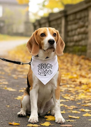 Big Sister Dog Bandana, White Dog Scarf Accessories, Pet Triangle Scarf, Pet Bandana for Small Medium Dogs, Baby Announcement Dogs Bandanas (M)