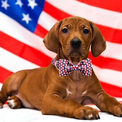 Lionet Paws Patriotic Dog Collar with Bowtie, 4th of July, Soft and Comfortable, Adjustable Collar for Small Dogs, Neck 10-16 inches
