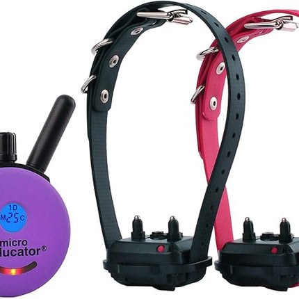 Educator E-Collar Humane Dog Training Collar with Remote, 100 Safe Tapping Stimulation Levels, Night Light, Waterproof, Rechargeable, 1/3 Mile 2 Small Dogs, Purple