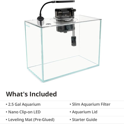 NICREW 2.5 Gallon Nano Nature Aquarium Kit, Ultra-Clear Rimless Desktop Fish Tank with Light and Filter, Perfect for Small Fish, Shrimp, or Betta, Basic Version, Clear