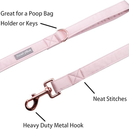 Lionet Paws Dog Leash - Silk Pink Leash for Small Medium Large Dogs Matching Collar for Girl and Boy