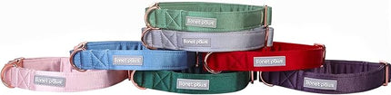 Lionet Paws Bowtie Dog Collar - Comfortable Silk Dog Collar with Detachable Bow Tie for Puppy and Cat, Neck 8-12 Inches