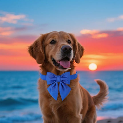 Maca Bates Klein Blue Dog Collar with Cute Solid Sailor Bow Tie for Large Girl Boy Dogs,Adjustbale Durable Breakaway Soft Collars with Bowtie for Female Male Puppy,Pet with Metal Buckle