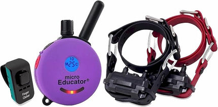 Educator E-Collar Humane Dog Training Collar with Remote, 100 Safe Tapping Stimulation Levels, Night Light, Waterproof, Rechargeable, 1/3 Mile 2 Small Dogs Double Bungee Bundle, Purple