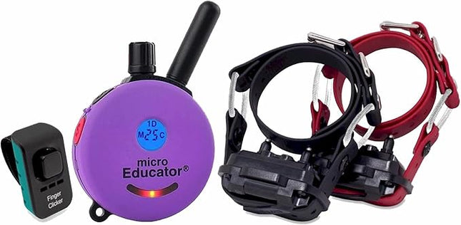 Educator E-Collar Humane Dog Training Collar with Remote, 100 Safe Tapping Stimulation Levels, Night Light, Waterproof, Rechargeable, 1/3 Mile 2 Small Dogs Double Bungee Bundle, Purple