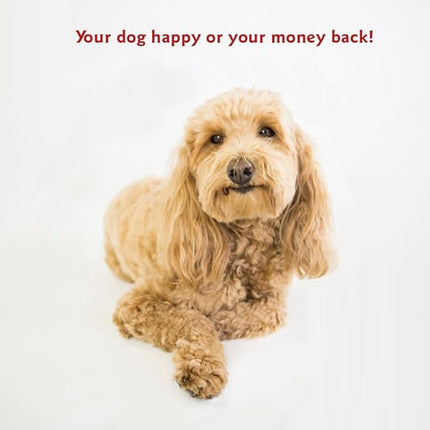 Large 35x46 Super Value Dog Pet Bed - Black