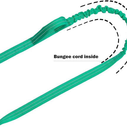 ICEFANG Tactical Dog Leash,K9 Training Walking Bungee Lead with 2 Control Handle,Heavy Duty Quick Release Metal Clasp,for Medium Large Breed (Teal, 6 FT)