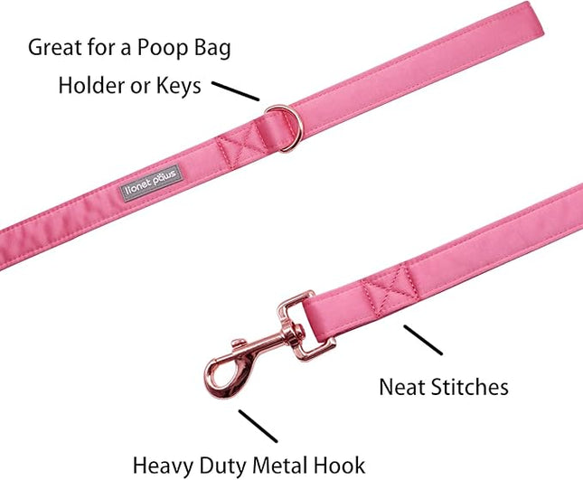 Lionet Paws Dog Leash - Silk Peach Leash for Small Medium Large Dogs Matching Collar for Girl and Boy