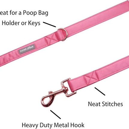 Lionet Paws Dog Leash - Silk Peach Leash for Small Medium Large Dogs Matching Collar for Girl and Boy
