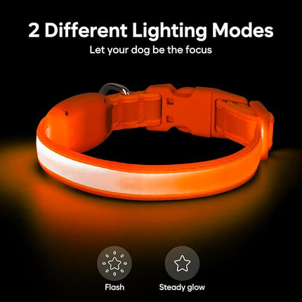 Light up Collar for Small Dog,Vizpet XS Adjustable Size Nylon Collar USB Rechargeable Bright Safety Pet Collar for Cats Small Dogs (Orange, X-Small[ 8.66-11.9 inch/22cm-30cm])