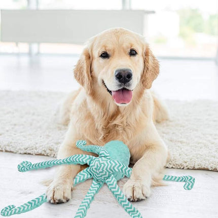 EXPAWLORER Octopus Dog Toy - Long Dog Squeaky Toys Puppy Birthday Gift Soft Stuffed Chew Toy, Crinkle Paper and Built-in Squeaker Durable Interactive Plush Toy for Small Medium Large Dogs, Green