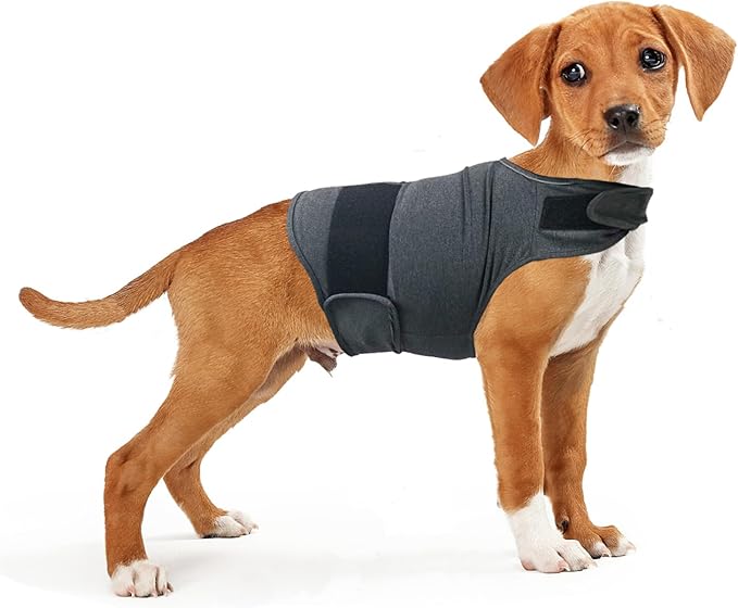 Dog Anxiety Shirt, Jacket Stress Relief Coat, Adjustable Vest for Fireworks, Thunderstorm, Calming Vest Wrap Clothing for Dogs (M)