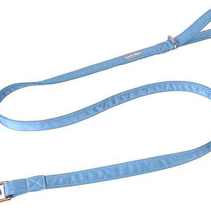Lionet Paws Dog Leash - Silk Blue Leash for Small Medium Large Dogs Matching Collar for Girl and Boy