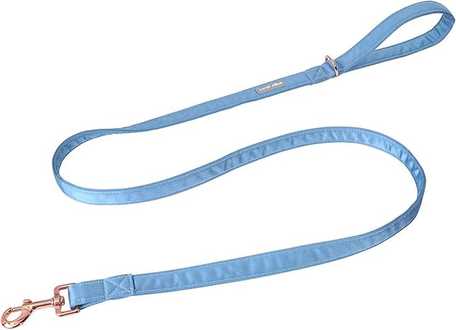 Lionet Paws Dog Leash - Silk Blue Leash for Small Medium Large Dogs Matching Collar for Girl and Boy