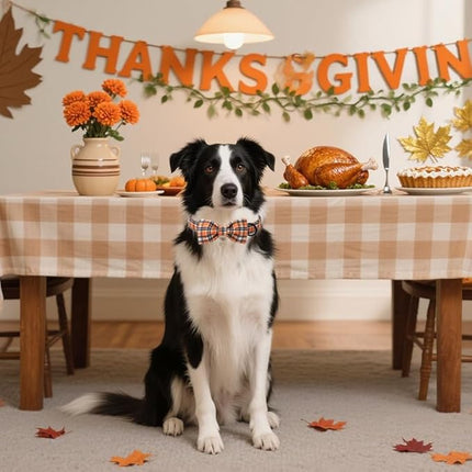 Lionet Paws Dog and Cat Fall Collar with Bowtie Black Orange Grid Dog Collar Plastic Buckle Light Adjustable Bow Tie Collars for Small Dogs Pets
