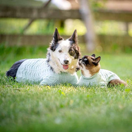 Blueberry Pet Classic Fuzzy Textured Knit Pullover Crew-Neck Dog Sweater in Dark Olive, Back Length 14", Pack of 1 Clothes for Dogs