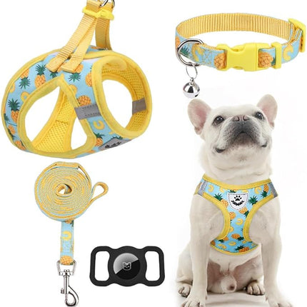 EXPAWLORER Small Dog Harness and Leash Set - Cute Puppy Harness Leash Dog Collar with AirTag Holder Silicone Case, Soft Padded Step in Pet Vest Reflective for Outdoor Walking, Pineapple S