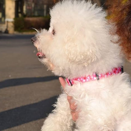 Dog Collar - Adjustable Heart Dog Collar - Love Theme - Perfect for Small Medium Large Dogs(Pink Heart,L)