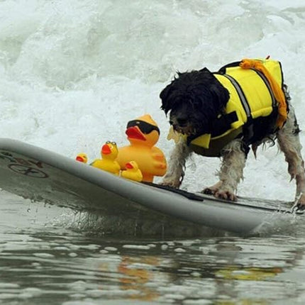 HAOCOO Dog Life Jacket Vest Saver Safety Swimsuit Preserver with Reflective Stripes/Adjustable Belt Dogs Yellow,XXS