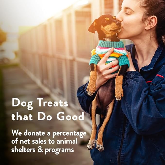 Portland Pet Food Company Natural Dog Treats Variety Pumpkin Gingerbread & Bacon Dog Biscuits - Grain-Free, Human-Grade Healthy Training & Snacks - Puppy, Small, Large Breed - Made in the USA - 3 Pack