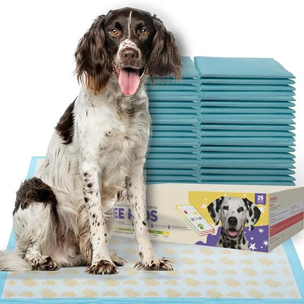 PETSWORLD Giant Dog Potty Pads, Odor-Eliminating, 36" x 36", Ultra Absorbent 5-Layer Leak-Proof Training Pads for Dogs & Cats (36x36 Health Indicating, 25 Count)
