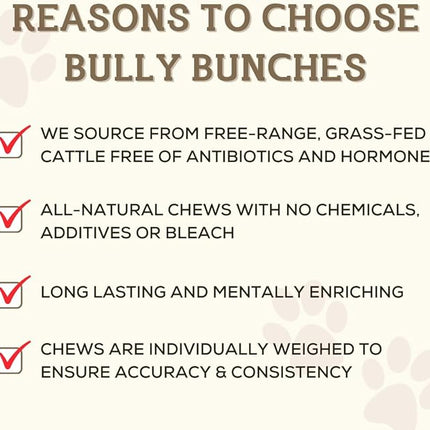 Bully Bunches Premium 6 Inch Thick Odour-Free Bully Sticks for Small & Medium Dogs - Long Lasting Chews for Oral Care - All Natural & Single Ingredient, 100% Beef Dog Treat, Rawhide Alternative (5 Pk)