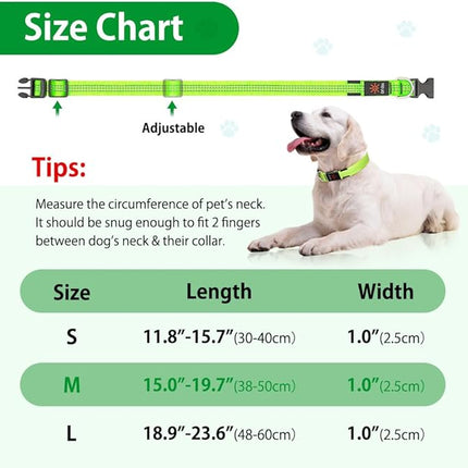 Light Up Dog Collars - USB Rechargeable Reflective LED Dog Collar, Water-Resistant Glow Pet Collar Lights for Night Walking Camping (Green, Medium)
