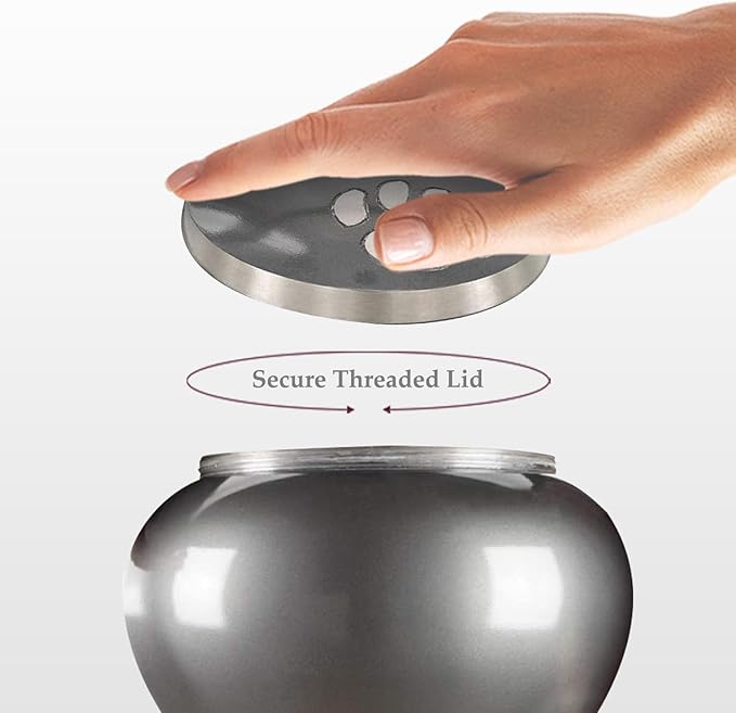 Trupoint Memorials Small Pet Urn for Dogs and Cats Ashes, Paws Print Grey Cremation Urns for Pets up to 25 lbs