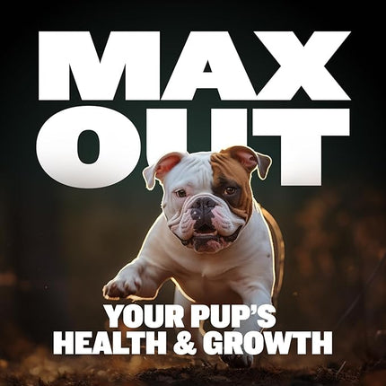 Bully Max 2-in-1 Puppy Treats Soft Chews for Immunity & Growth - Dog Vitamins & Supplements - Essential Multivitamin Food Topper for Health & Immune Support - Small, Medium & Large Breed Puppies