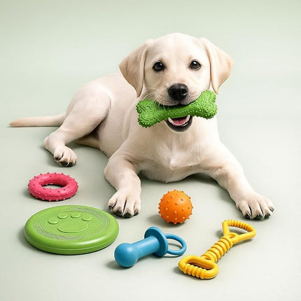 Jalousie Chew Toy Natural Rubber chew Toy for Interactive Play Toy Ball Rope Rubber Value Set for Small to Medium Breed Dog mutt Puppy