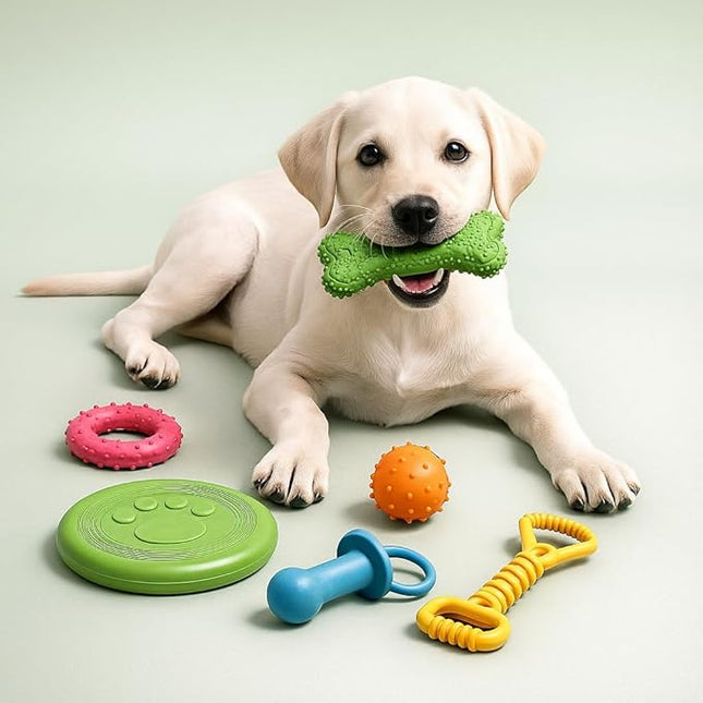 Jalousie Chew Toy Natural Rubber chew Toy for Interactive Play Toy Ball Rope Rubber Value Set for Small to Medium Breed Dog mutt Puppy