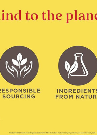 Burt's Bees for Pets Deodorizing Dog Wipes with Witch Hazel, Lemongrass and Sage Fragrance, 98% Natural Origin Formulas, Dog Wipes Cleaning and Deodorizing, 100ct