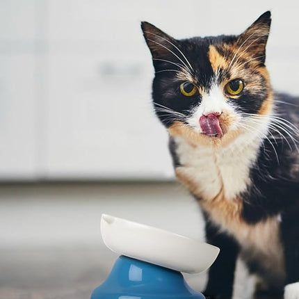 Y YHY Ceramic Slow Feeder Cat Bowl, Elevated Cat Bowl Tilted Design Slow Feeder for Dog and Cat for Dry and Wet Food, Blue