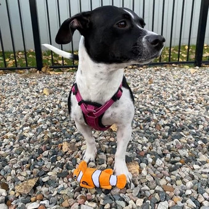 SmartPetLove Snuggle Puppy Tender-Tuffs Small Dog Toys - Orange Clownfish Dog Toy for Small Breeds with Puncture Resistant Squeaker