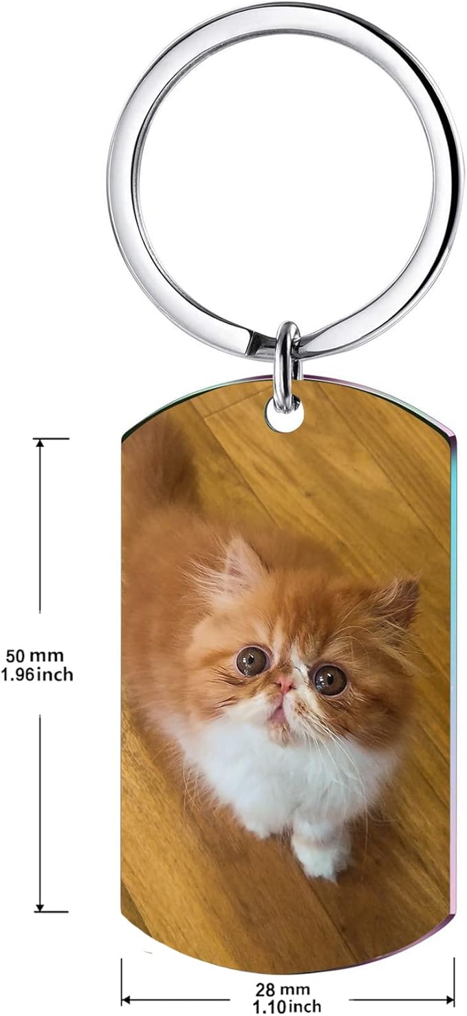 Funnylife Personalized Pet Memorial Keychain for Cats Stainless Steel Custom Pet Photo Memory Keepsake Loss of Cat Sympathy Gifts Cat Pass Away Gifts