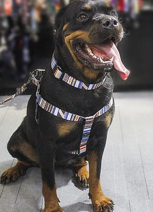 Roses&Poetry Dog Collar with Colourful Stripe Patterns, Adjustable Durable Puppy Collars for Small Medium Large Dogs (Stripe-L)