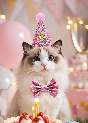 Cat Birthday Hat Girl Happy Birthday Decorations Outfit Banner Party Supplies Bow tie Collar Catnip Chew Biting Kick Toys for Cat Girl (Pink)