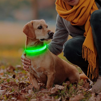 Light Up Dog Collar - Reflective LED Pet Collar Rechargeable Water-Resistant Adjustable Doggie Necklace Glowing Dog Lights for Night Walking (Blue, Large)