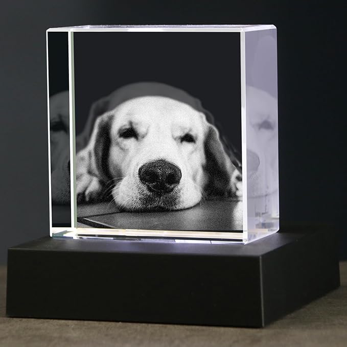 Personalized 3D Crystal Photo,Pet Memorial Gifts for Dogs,Cats,Custom 3D Pictures,Dog Memorial Gift, Customized Pet Gifts,Personalized Photo Gifts
