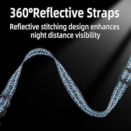 Roses&Poetry Small Dog Collar, Cute Leopard Style Adjustable Reflective Puppy Collars Durable Pet Collars for Small Medium Large Dogs(Azure-Leopard S)