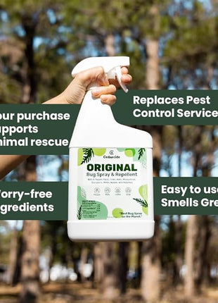 Cedarcide Original Bug Spray | Repel & Kill Fleas, Ticks, Mosquitoes, Mites, Ants & Chiggers | for use on People, Pets & Home | Natural Cedar Oil | Eco-Friendly | Small Size Kit