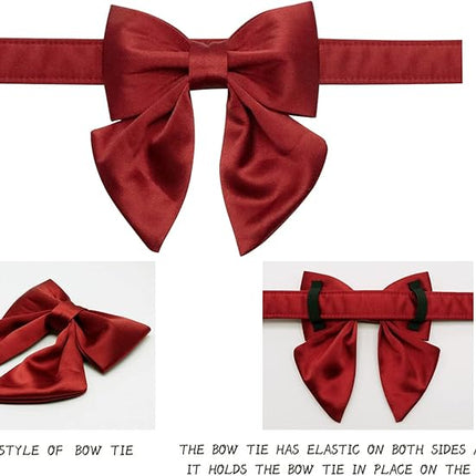 Lionet Paws Bowtie Dog Collar - Comfortable Silk Dog Collar with Detachable Bow Tie for Puppy and Cat, Neck 8-12 Inches