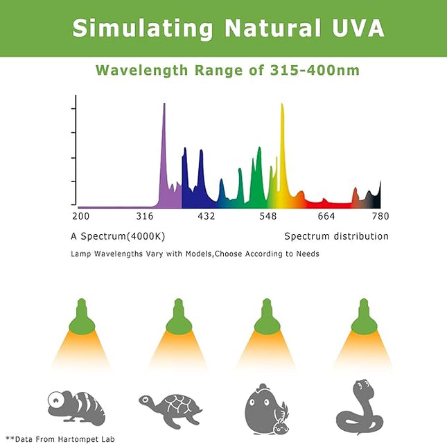 60W E26 Reptile Heat Lamp Bulbs, UVA Basking Spot Light for Bearded Dragon, Lizard, Tortoise, Chicks, Other Reptiles & Amphibians - Simulated Natural Sunlight Terrarium Heat Lamps | 2 Pack