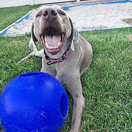 Jolly Pets Teaser Ball Dog Toy, Extra Large/10 Inches, Blue