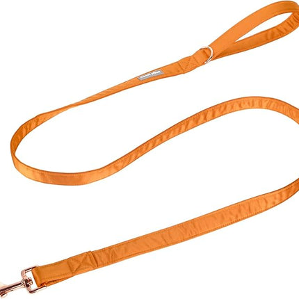 Lionet Paws Dog Leash - Silk Orange Leash for Small Medium Large Dogs Matching Collar for Girl and Boy
