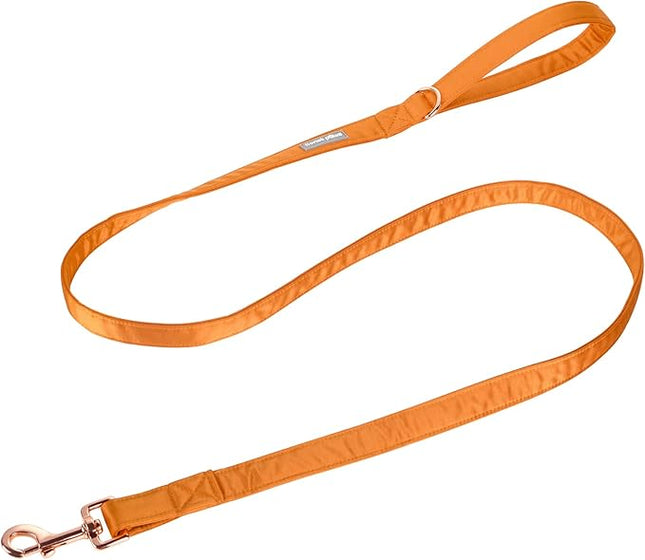Lionet Paws Dog Leash - Silk Orange Leash for Small Medium Large Dogs Matching Collar for Girl and Boy