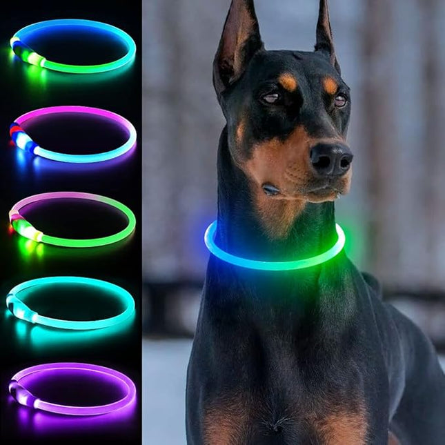 Light Up Dog Collars, USB Rechargeable Dlitk LED Dog Collar 1 Count, TPU Cuttable Size Glow Collar for Dogs, Dog Collar Light, Please Do Not Use Fast Charging (Green+Blue)